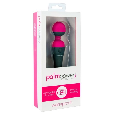 Palm Power recharge - 1