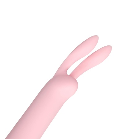 Mini Rabbit Vibrator with USB Charger - 7