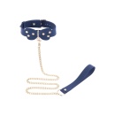 Silicone Collar and Leash Blue - 11