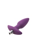 FLIRTS 10 FUNCTIONS VIBRATING PLUG PURPLE - 3