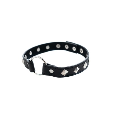 Adjustable collar - 1