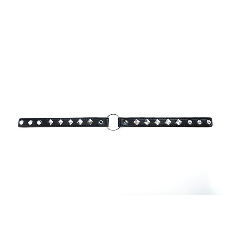 Adjustable collar - 4