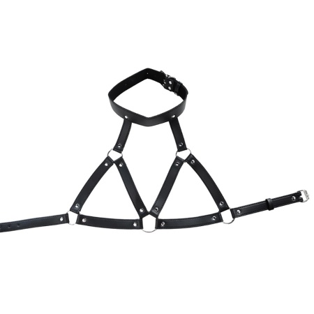 Adjustable neck and chest harness - 2