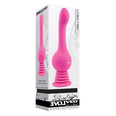 EVOLVED GYRO VIBE - 1