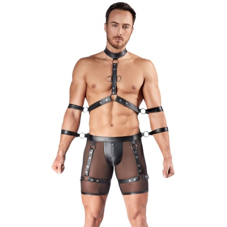 Men's Harness and Pants XL - 2
