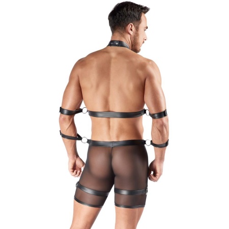 Men's Harness and Pants XL - 4