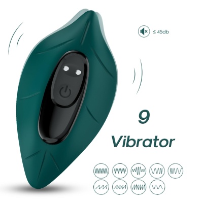 Leavess Green, 9 vibration functions - 1 2
