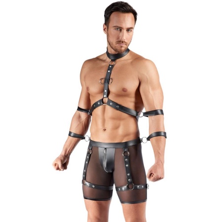 Men's Harness and Pants L - 3