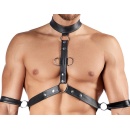 Men's Harness and Pants L - 5