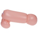 Cock Fighting - 4