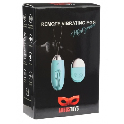 Remote Vibrating Egg Mint Green - 1 2