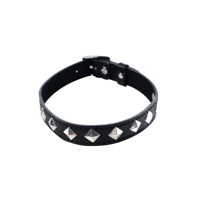 Adjustable collar - 1
